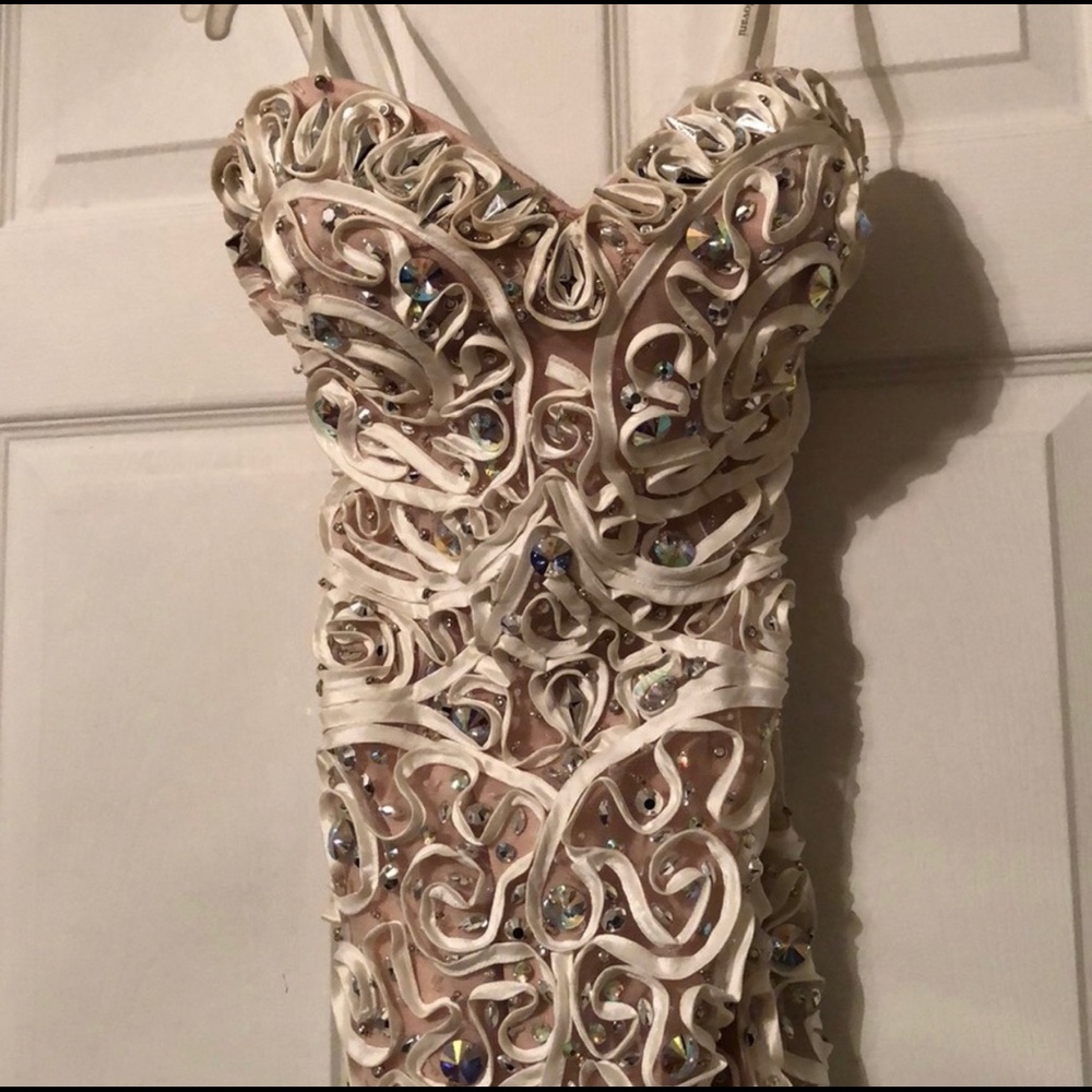Gorgeous prom or event gown. Price is a STEAL ! - Picture 4 of 8